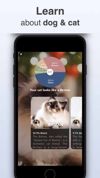 Pet Identifier - Scan dog, cat screenshot-4
