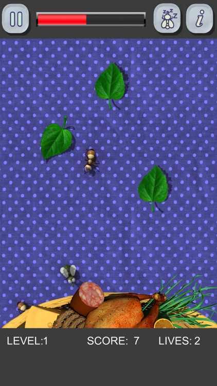 Ants, Flies, ... Picnic Bugs screenshot-6