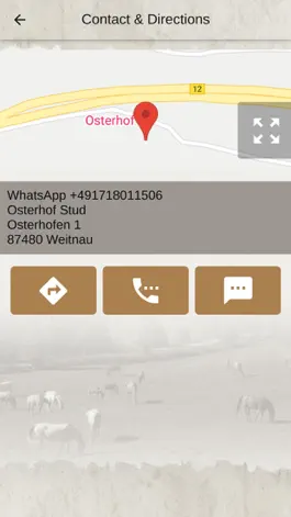 Game screenshot Osterhof Stud hack