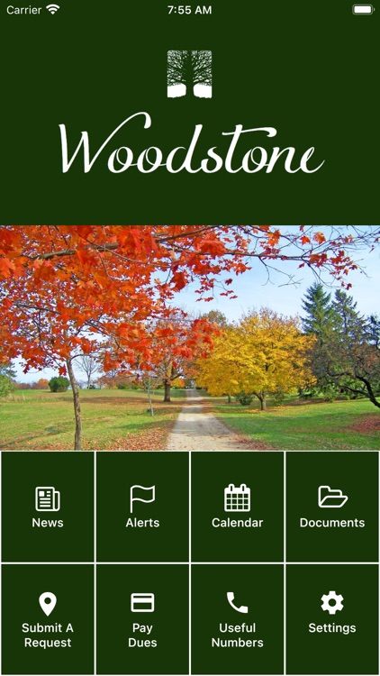 Woodstone