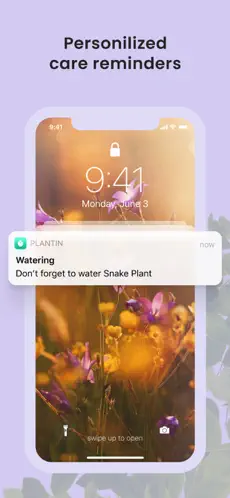 Captura 6 PlantIn: Plant Identifier iphone