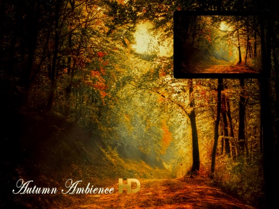 Autumn Ambience HD IAP screenshot 5