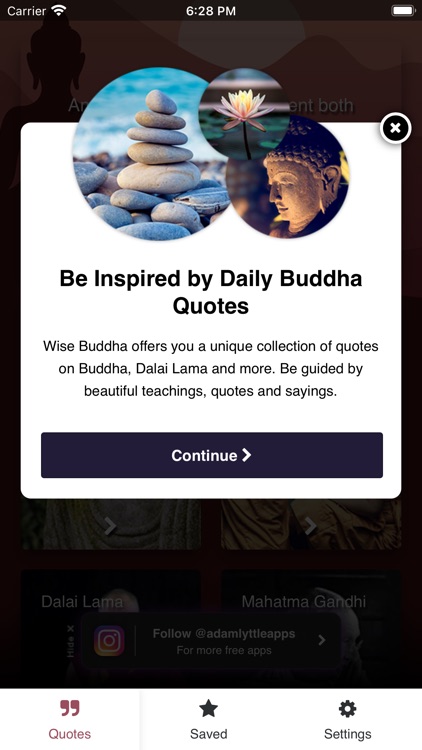 Wise Buddha Quotes screenshot-5