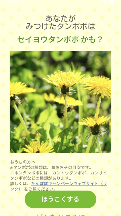 たんぽぽキャンペーンGakken