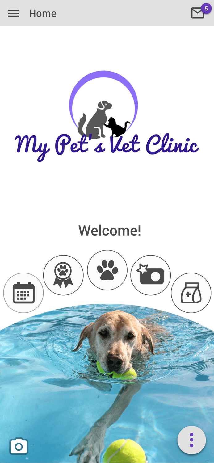 My Pets Vet Clinic Kirkland