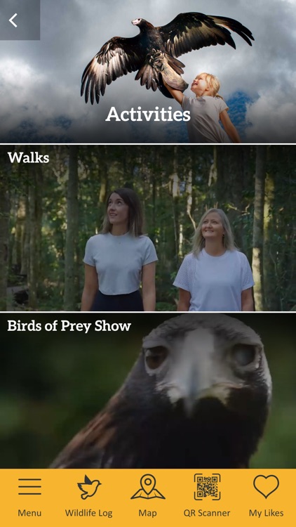 O'Reilly's screenshot-3