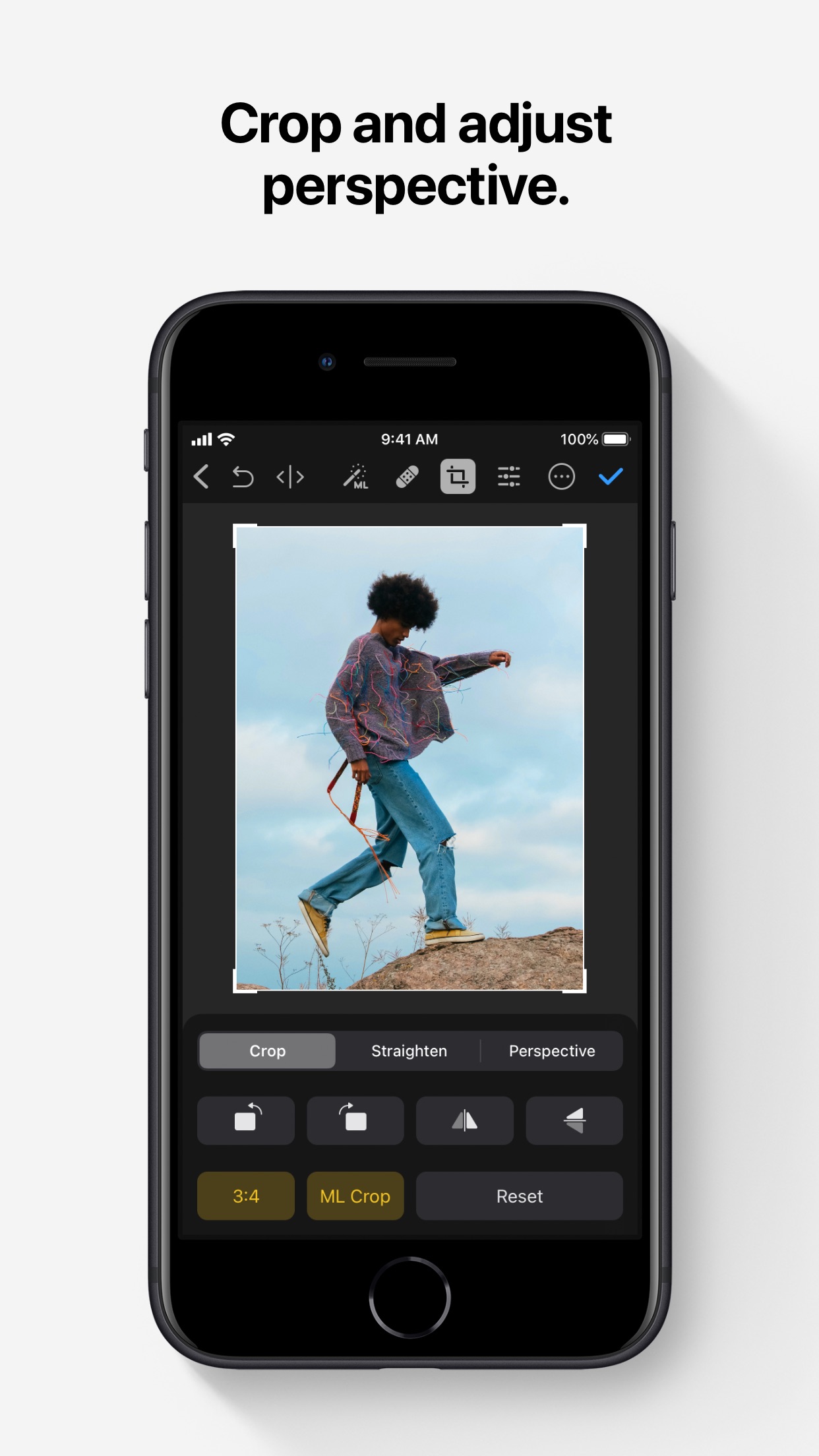 Screenshot do app Pixelmator Photo