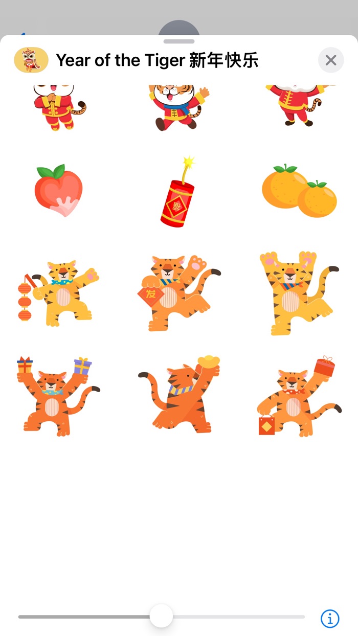 Year of the Tiger 新年快乐