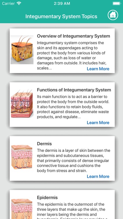 Anatomy : Integumentary System screenshot-5