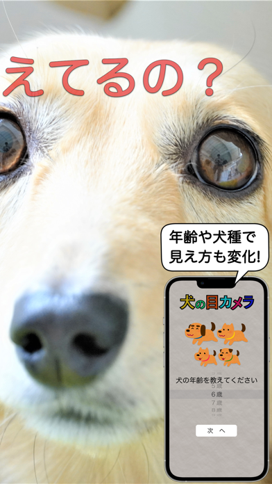 犬の目カメラのアプリ詳細とユーザー評価 レビュー アプリマ