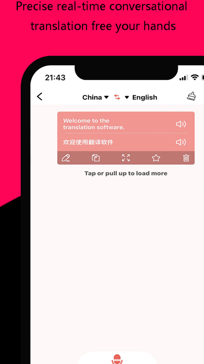 Translator Voice Translation