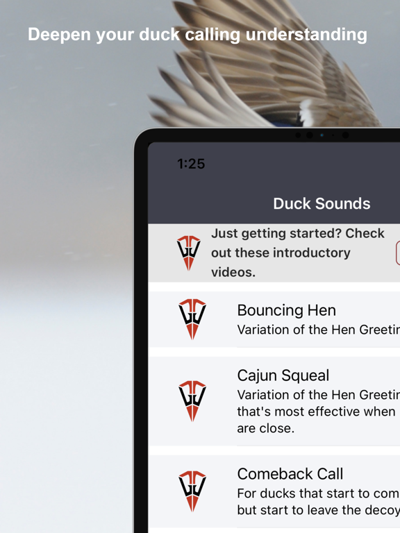 Duck Tech Screenshots