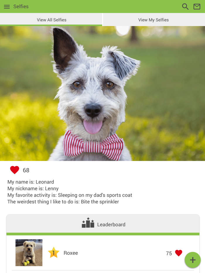 Big Creek Animal Hospital