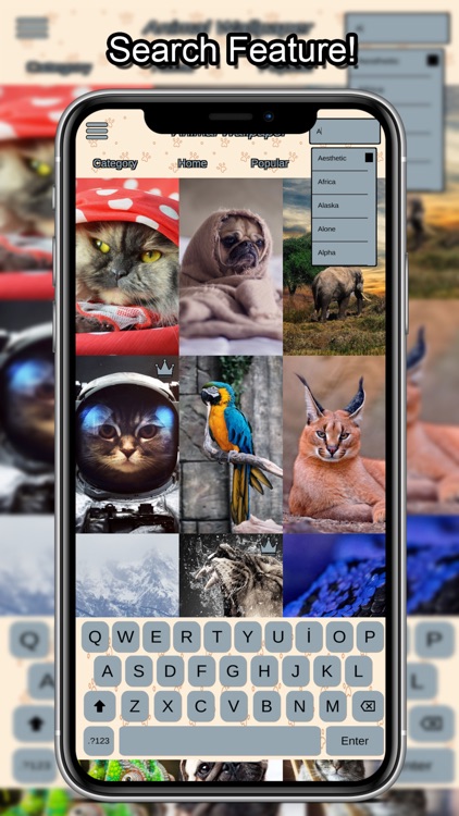 Animal Wallpapers HD 4K screenshot-3
