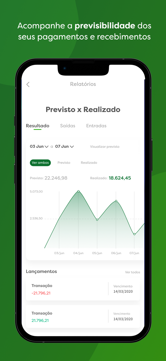 Organizador Financeiro