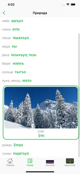 Game screenshot Словарь по темиргоевскому hack