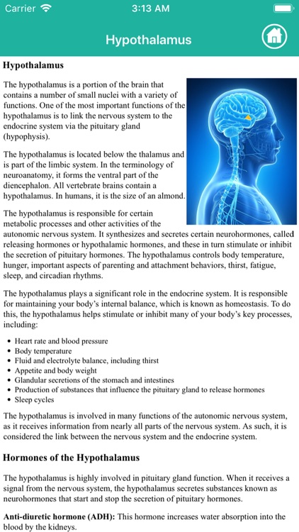 Anatomy : Endocrine System screenshot-6