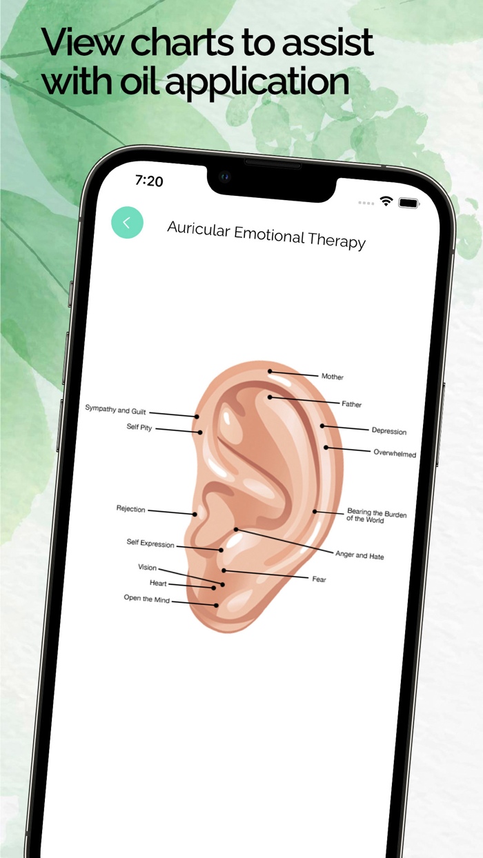 Young Living Essential Oils -