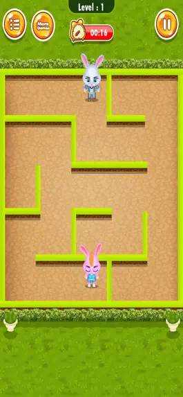 Game screenshot Bunny Maze Runner hack