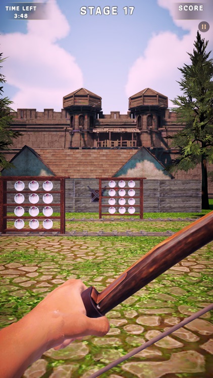 Bow and Arrow Tournament screenshot-3