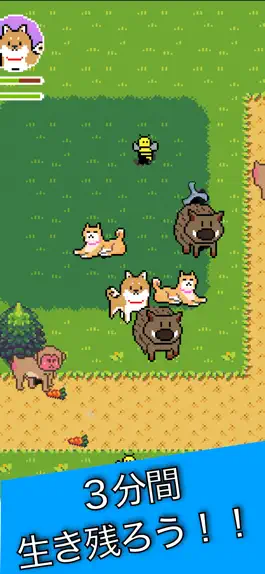 Game screenshot 柴犬サバイバー apk