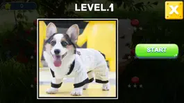 Game screenshot Dogs love puzzles mod apk