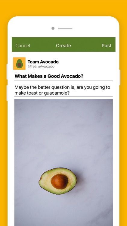 Team Avocado