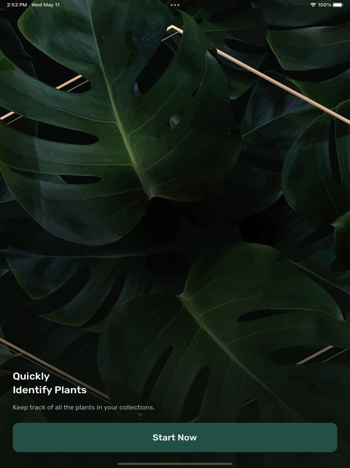 Plant Identification  Info