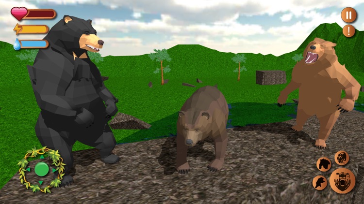 Epic Bear Wildlife Adventure