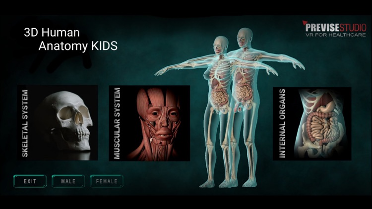 3D Human Anatomy Kids