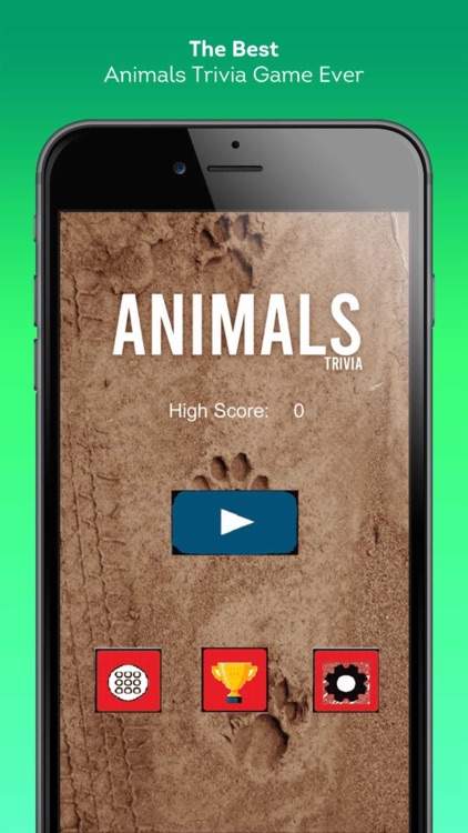 Animals Trivia Challenge