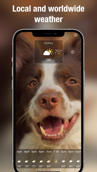 Dog Days Weather Live screenshot 4
