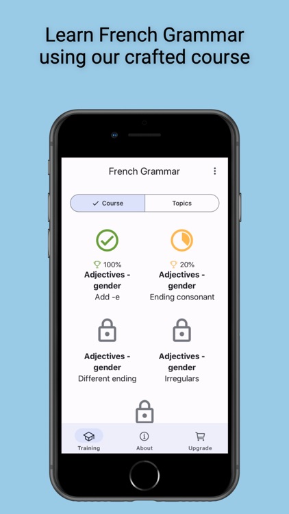 French Grammar Master