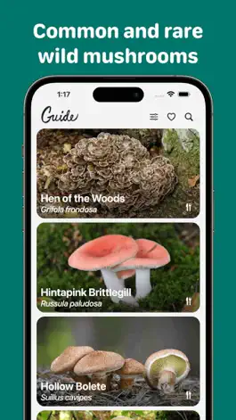 Game screenshot Rostou! - Mushroom Guide apk