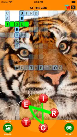 Game screenshot Theme Crosswords apk