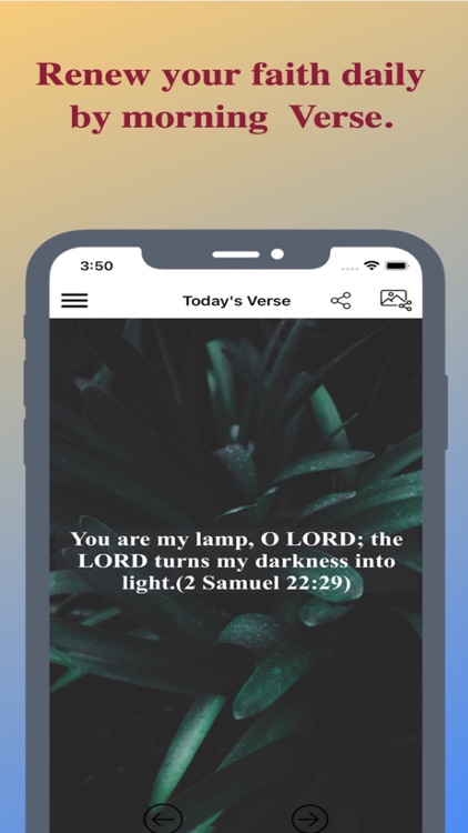 Holy Bible + Daily Verse