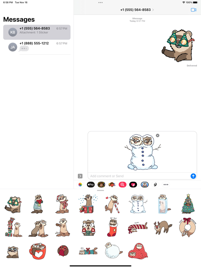 Ferret Christmas-Meems  Feefs