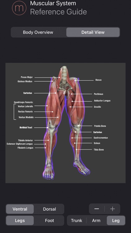 Muscle Study Guide screenshot-6