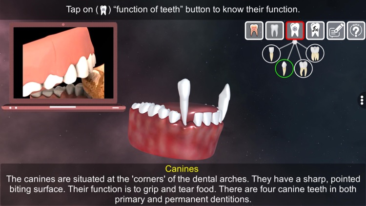 Incredible Human Teeth screenshot-4