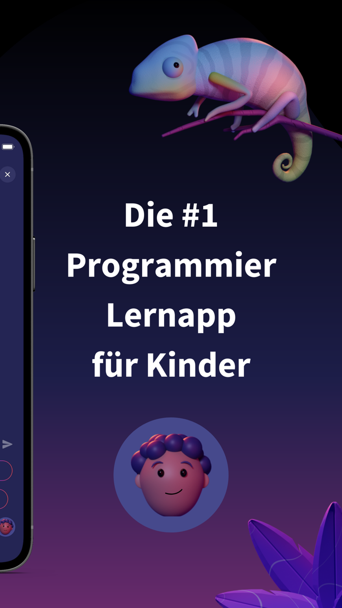 codary Programmieren lernen