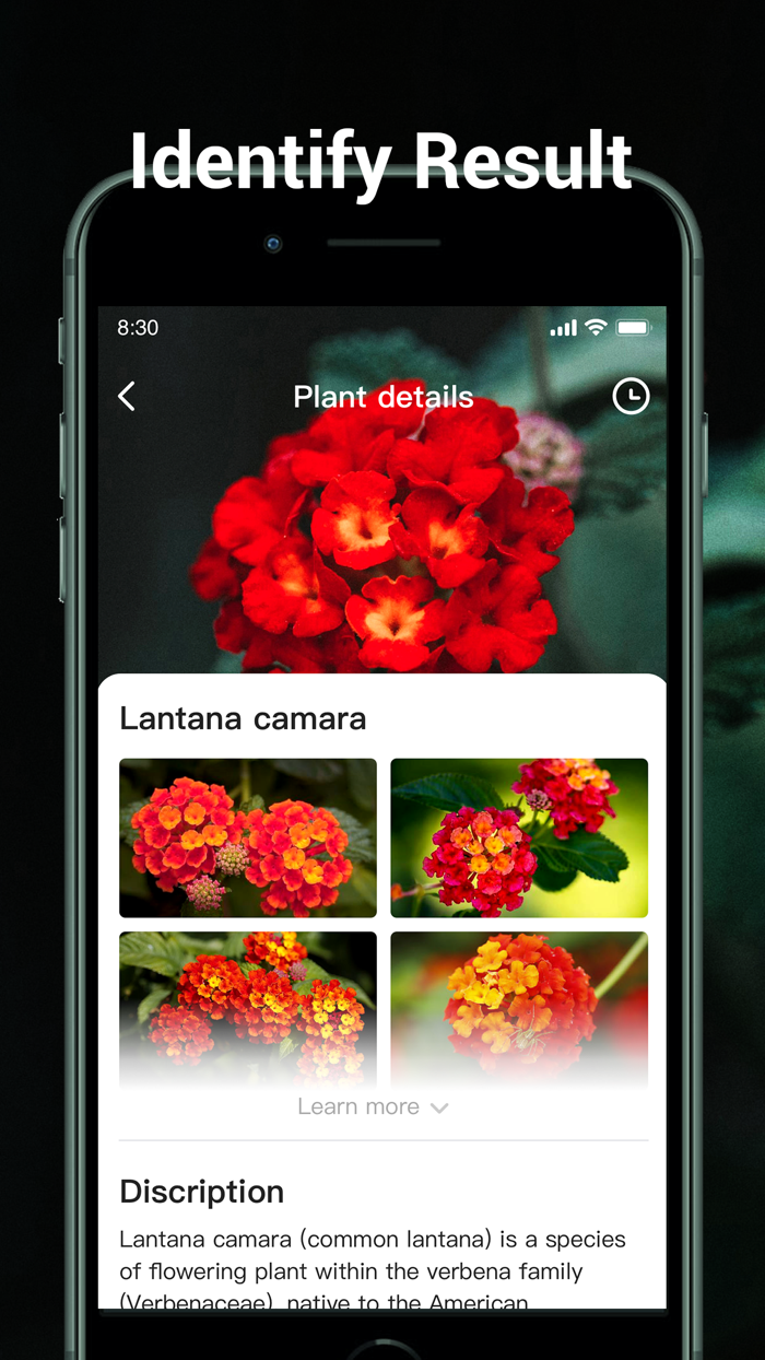 Plants Identifier plant snap