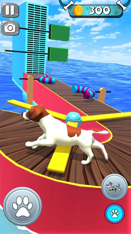 Epic Dog Fun Run Race 3D screenshot-4