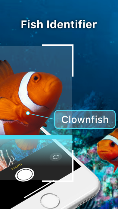 Fish Id 魚図鑑 魚判別 画像検索アプリ Iphoneアプリ Applion