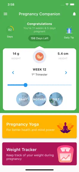 Game screenshot Pregnancy Companion mod apk