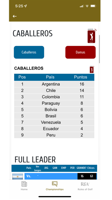 Federación Sudamericana Golf screenshot 4