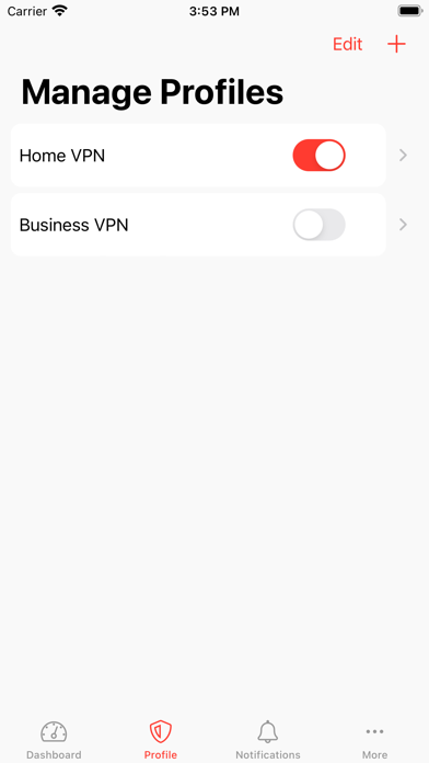 Securepoint VPN Client screenshot 2