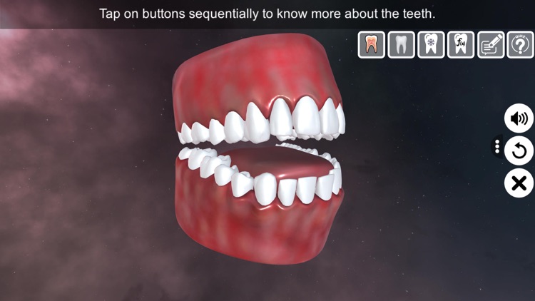 Incredible Human Teeth