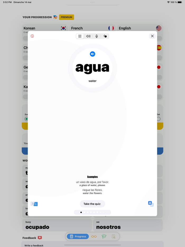 Lingo - Learning Language