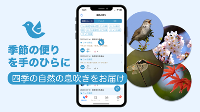 Nレコ紹介画像2