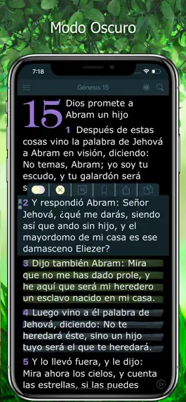 Game screenshot La Biblia Reina Valera Audio hack